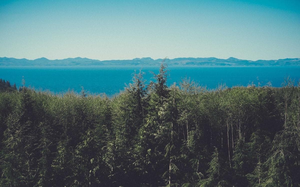 Breathing for Anxiety — keep going